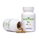 NutriGout – Gout and You